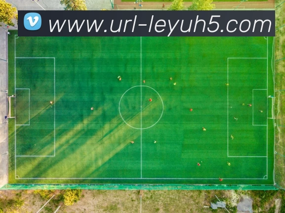 乐鱼体育APP 封面图